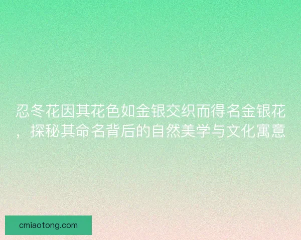 忍冬花因其花色如金银交织而得名金银花，探秘其命名背后的自然美学与文化寓意
