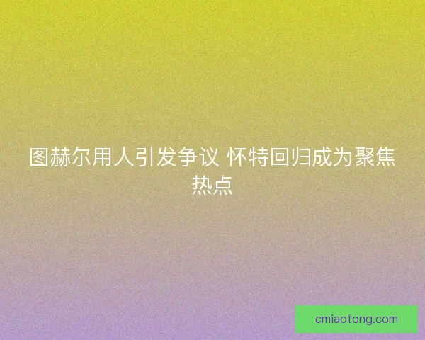 图赫尔用人引发争议 怀特回归成为聚焦热点