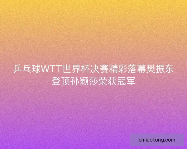 乒乓球WTT世界杯决赛精彩落幕樊振东登顶孙颖莎荣获冠军