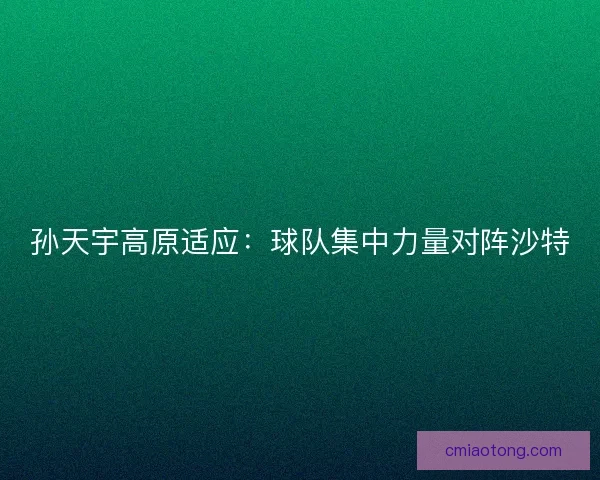 孙天宇高原适应：球队集中力量对阵沙特